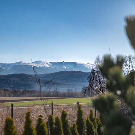 Domki W Karkonoszach Szmaragdowy Widok Wojcieszyce Dış mekan fotoğraf