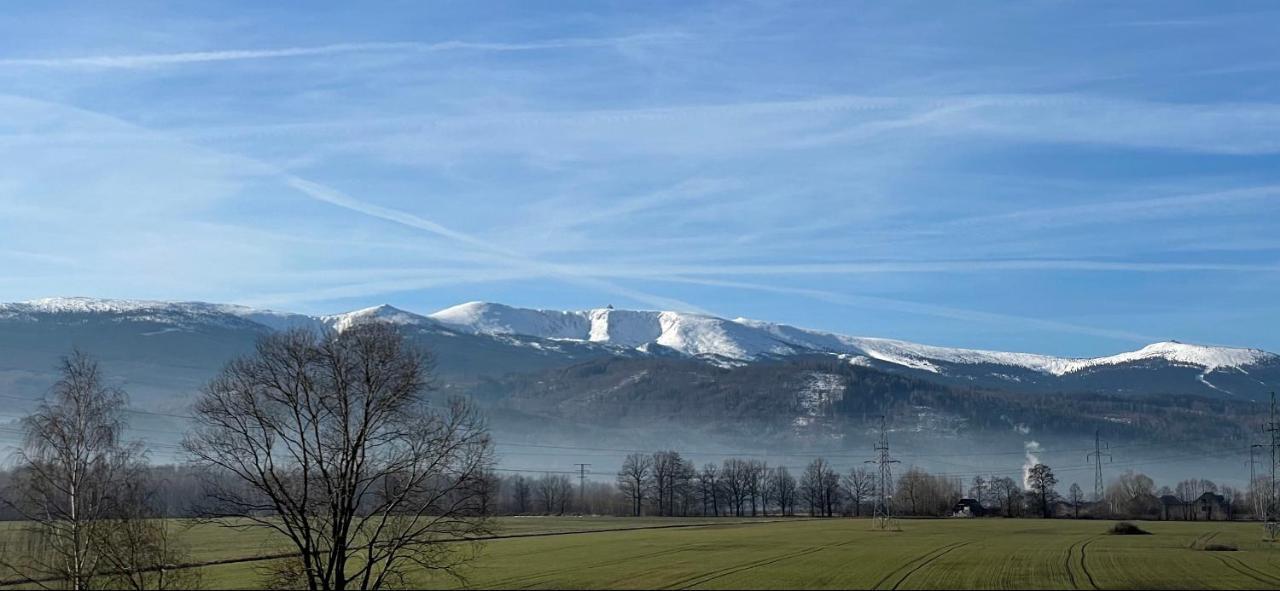 Domki W Karkonoszach Szmaragdowy Widok Wojcieszyce Dış mekan fotoğraf