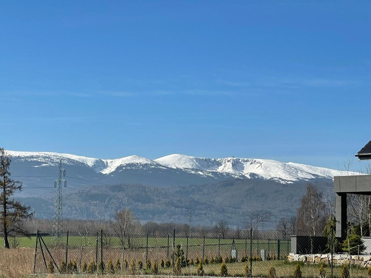 Domki W Karkonoszach Szmaragdowy Widok Wojcieszyce Dış mekan fotoğraf